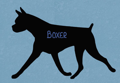 Boxer