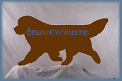 Brown Newf