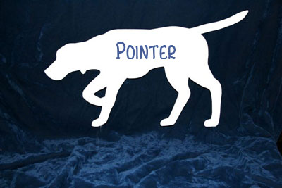 Pointer