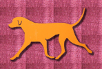 Rhodesian Ridgeback