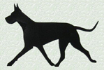 Great Dane- Black