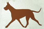 Brown Great Dane
