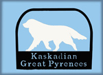 gpkennel