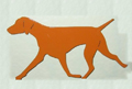 Vizsla- Red